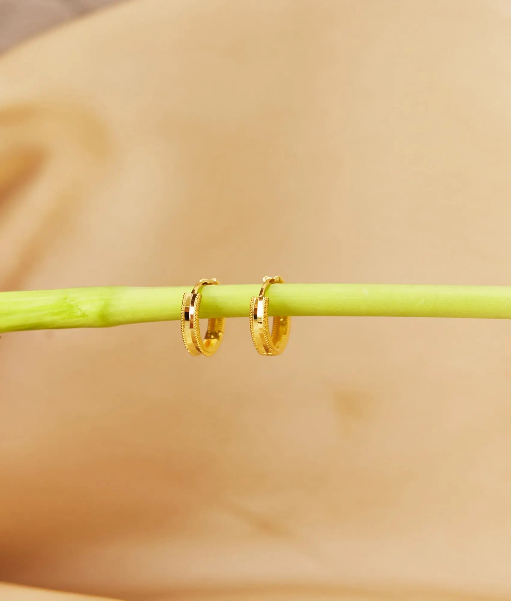 14 Ayar Altın Ajda Halka Küpe 1,8 cm