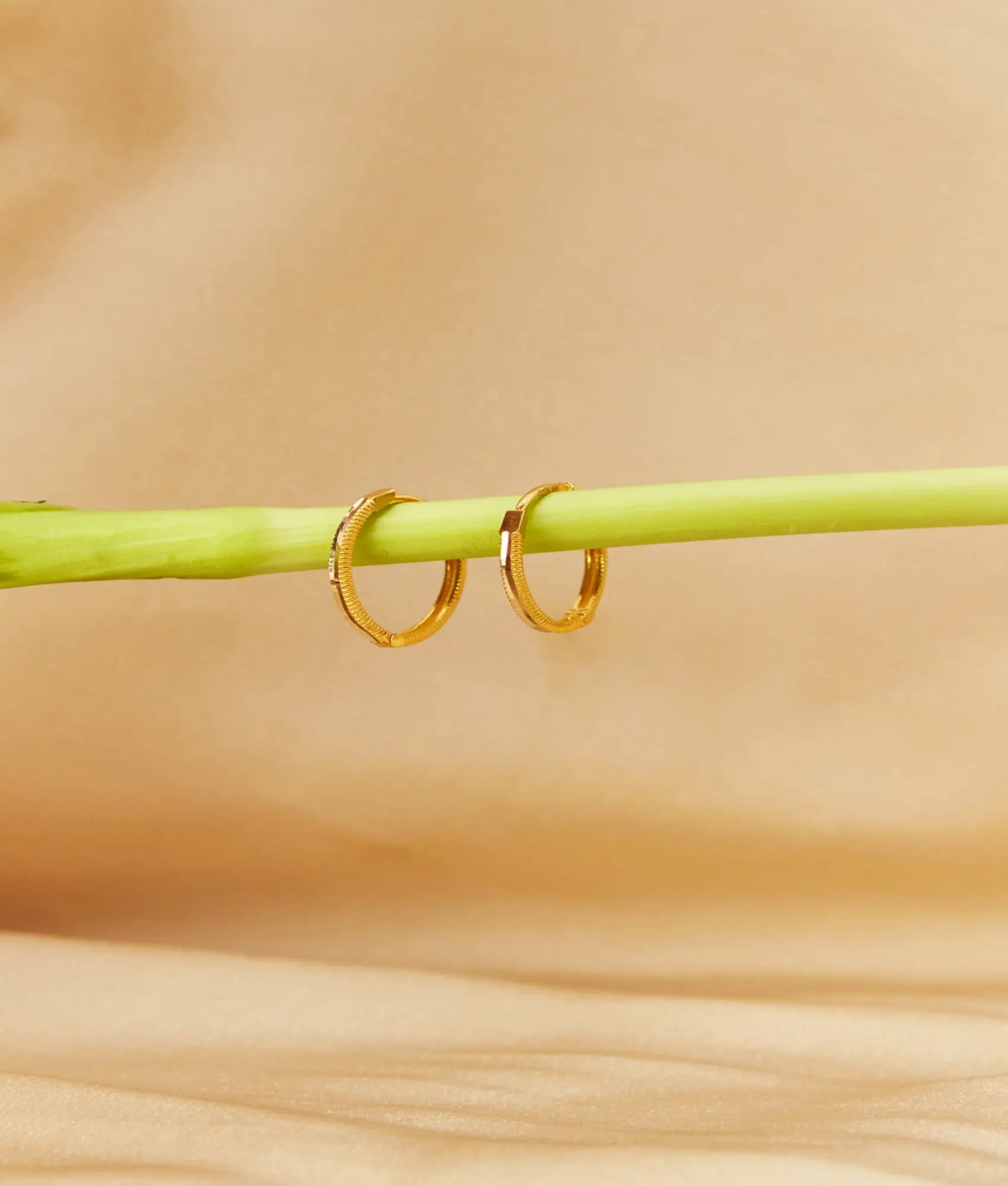 14 Ayar Altın Ajda Halka Küpe 2 cm