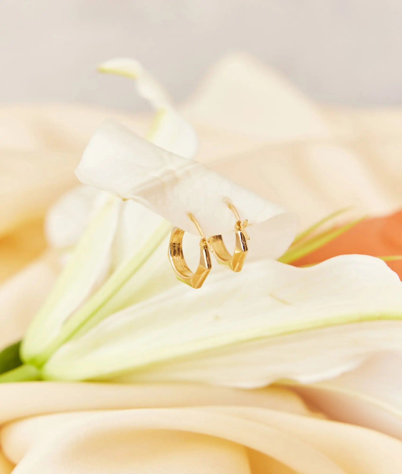 14 Ayar Altın Altıgen Küpe