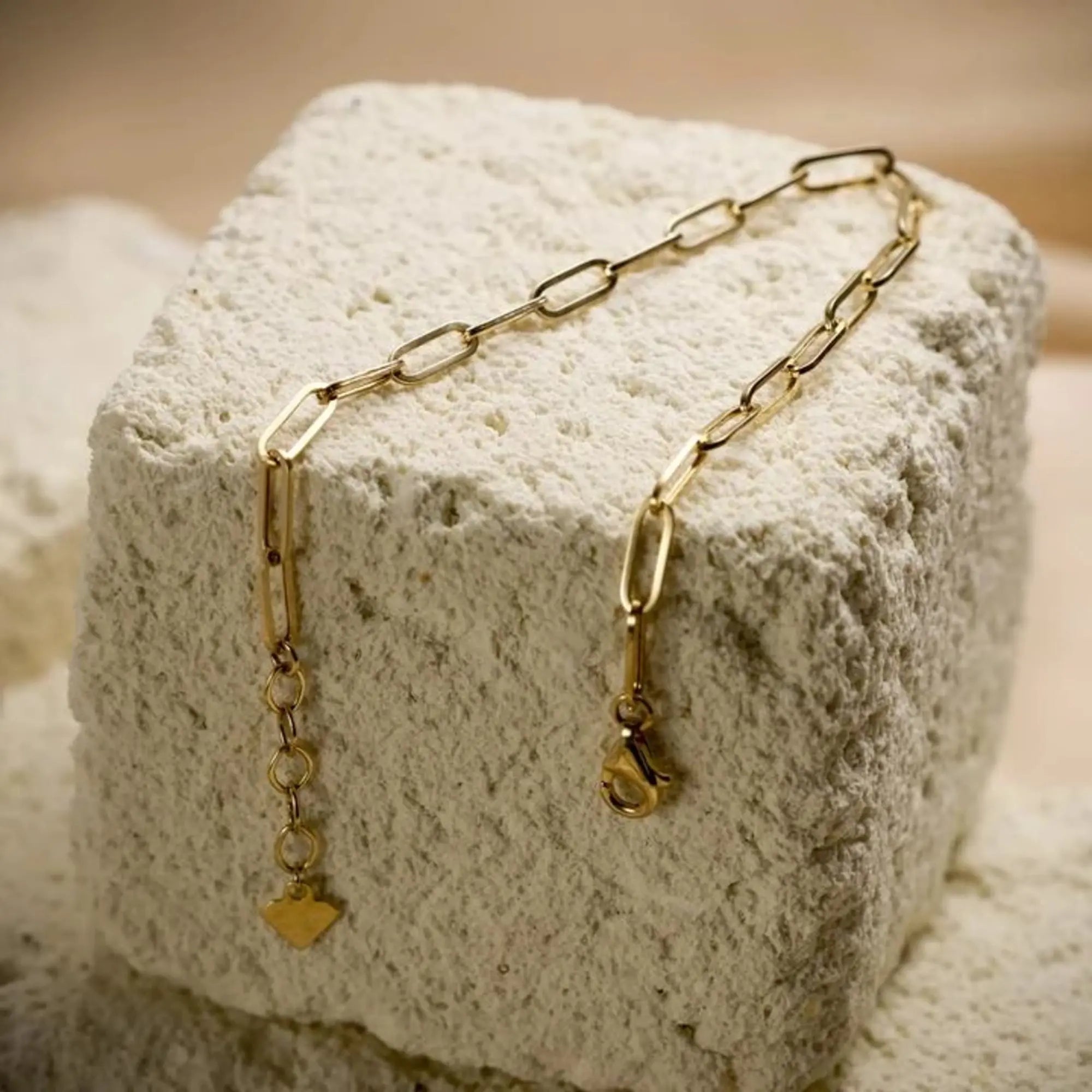 14 Ayar Altın Ataç Zincir Bileklik