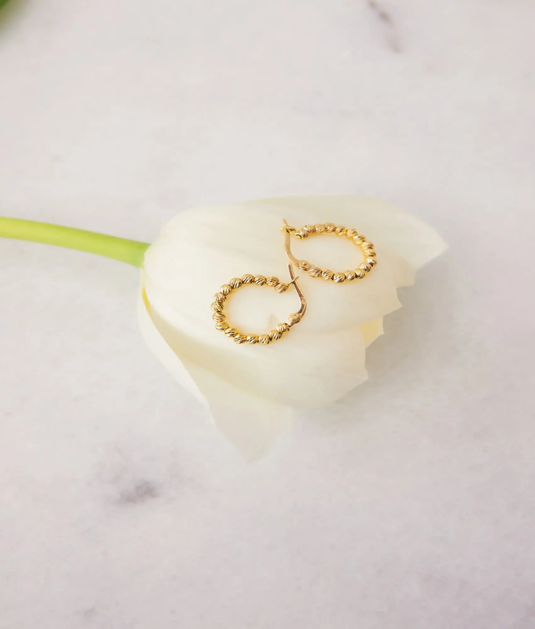 14 Ayar Altın Dorika Toplu Halka Küpe