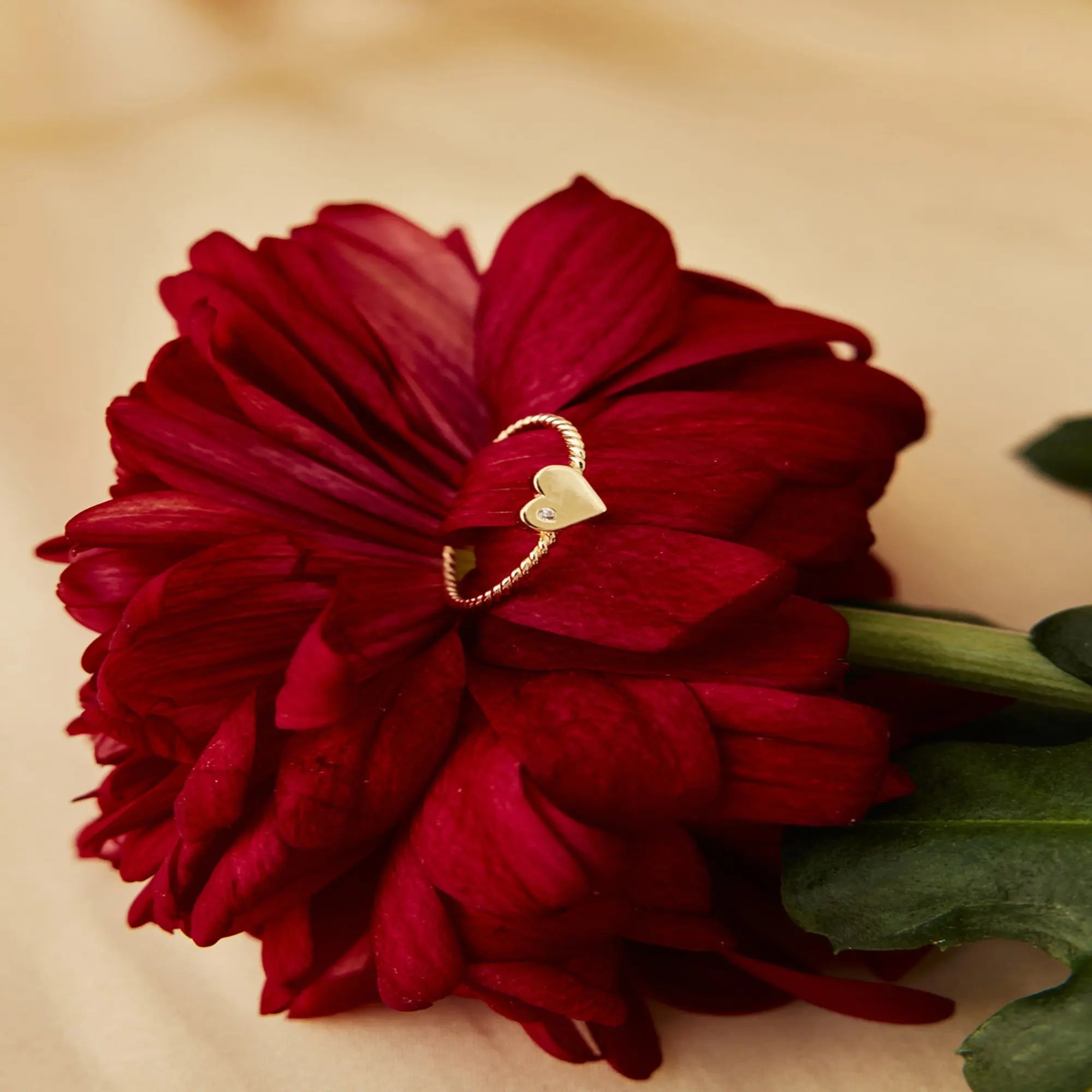 14 Ayar Altın Düz Kalp Yüzük