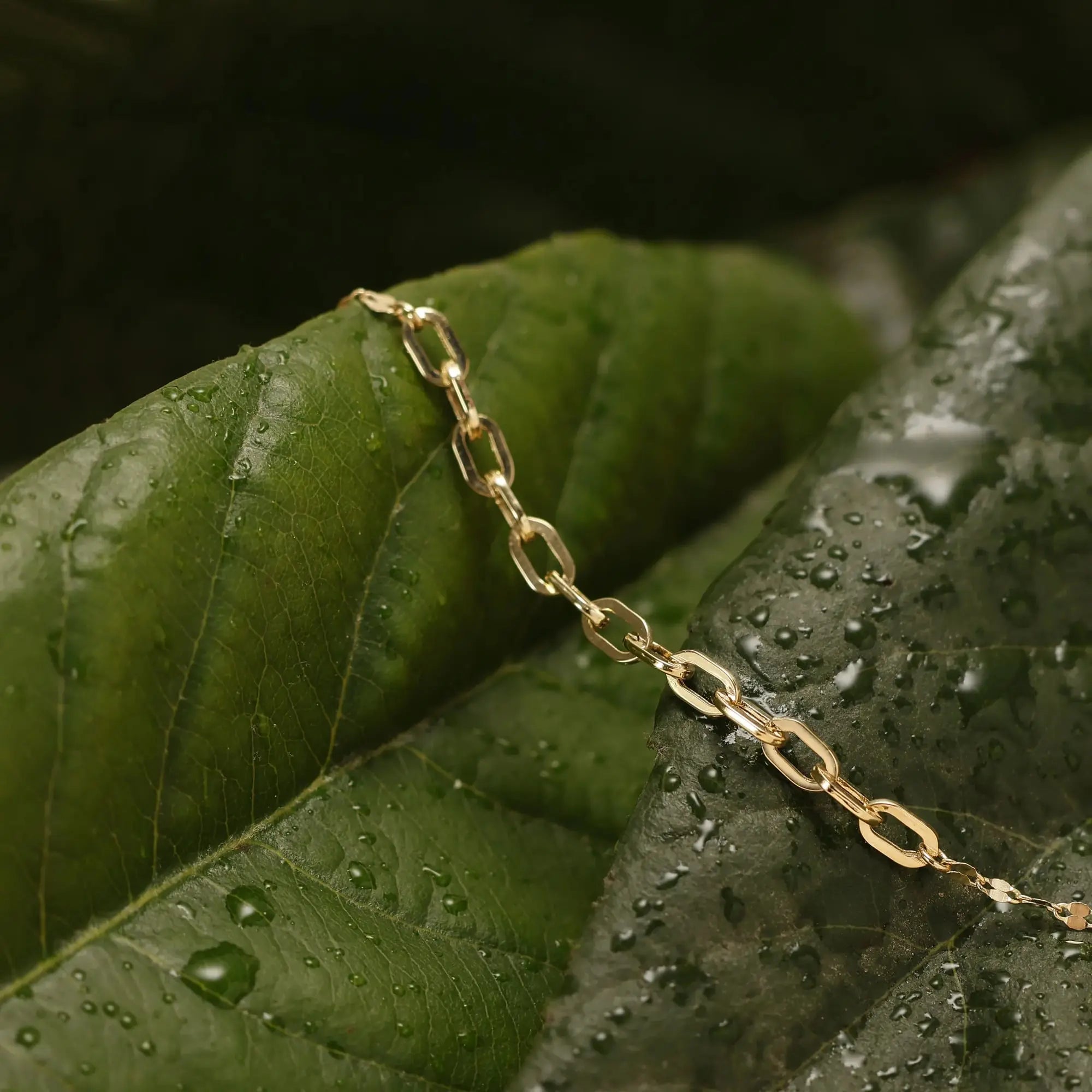 14 Ayar Altın Klasik Bileklik