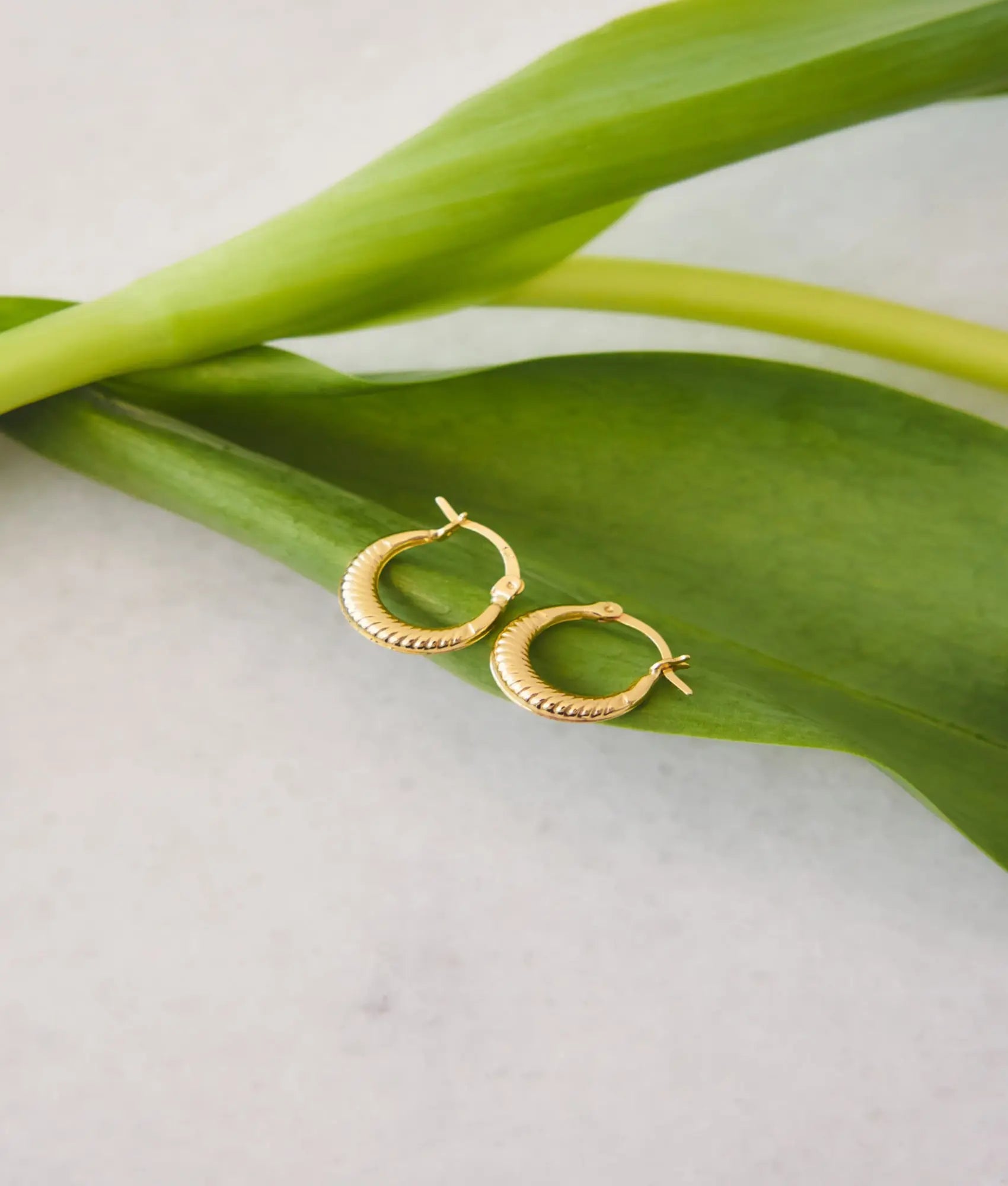 14 Ayar Altın Midye Küpe 1,2 cm