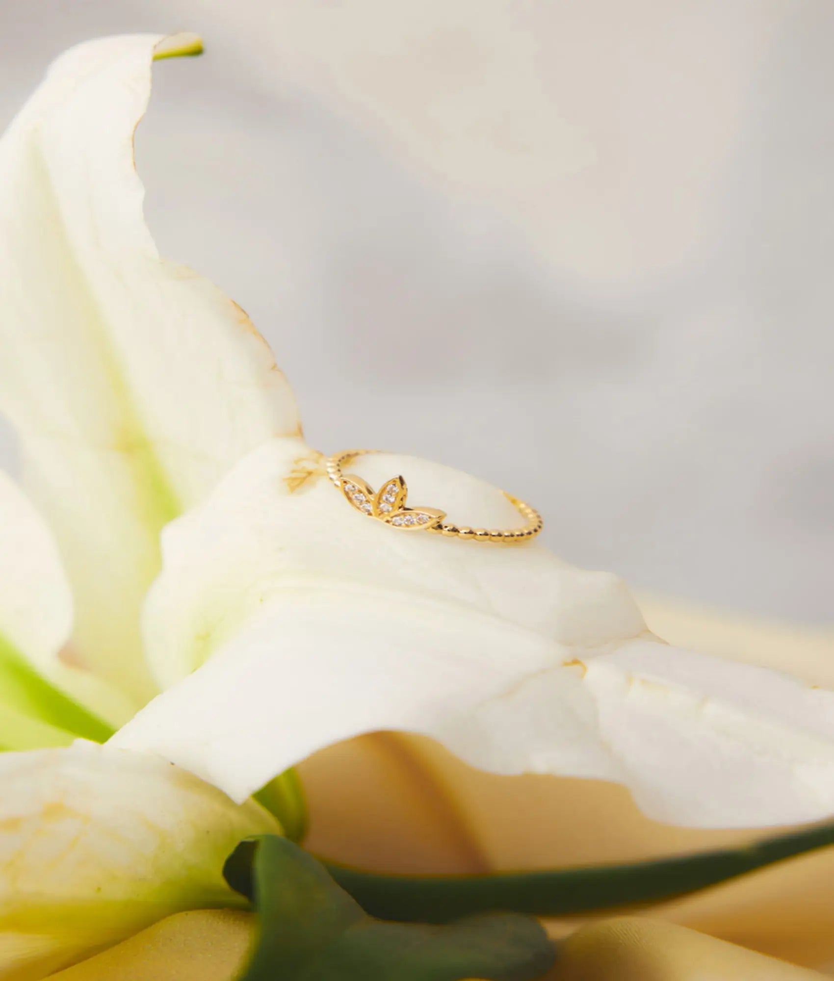 14 Ayar Altın Taşlı Üç Yapraklı Yüzük