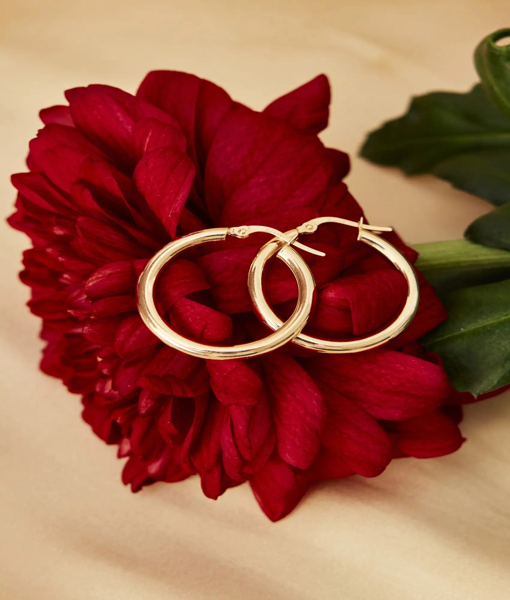 14 Ayar Altın Bombeli Klasik Halka Küpe 2,7 cm