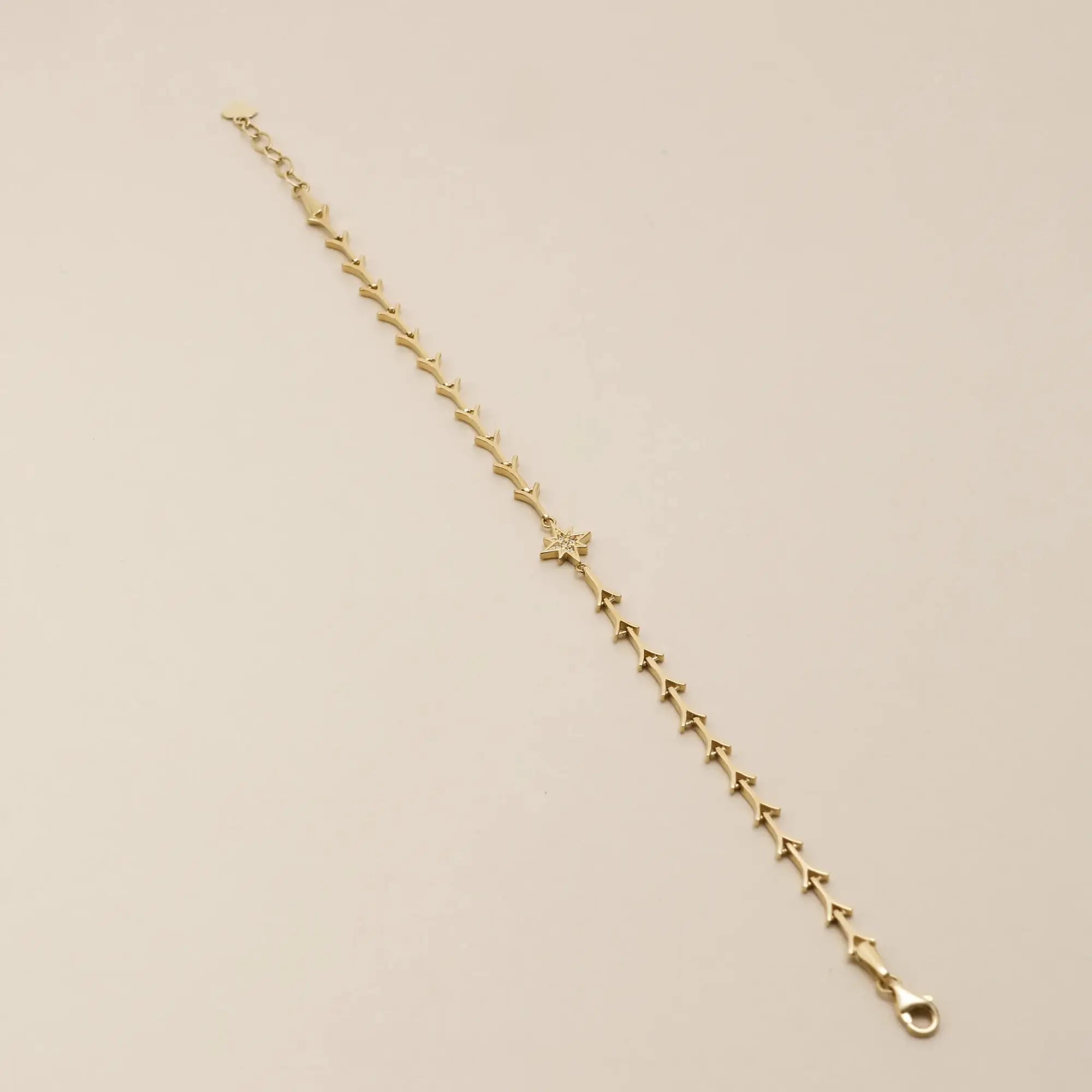 14 Ayar Altın Dallı Yıldız Figür Bileklik