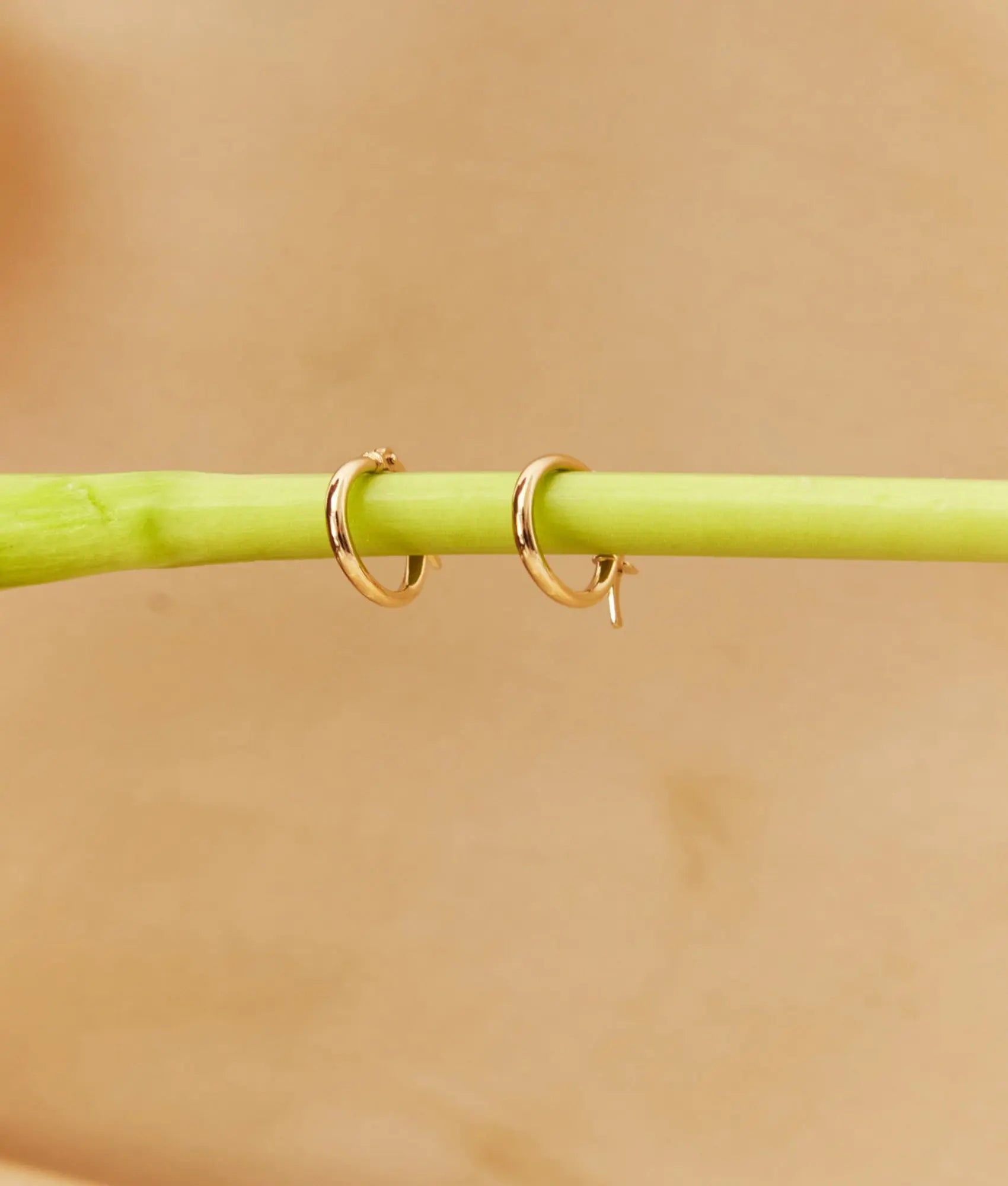 14 Ayar Altın Halka Küpe 1,9 cm